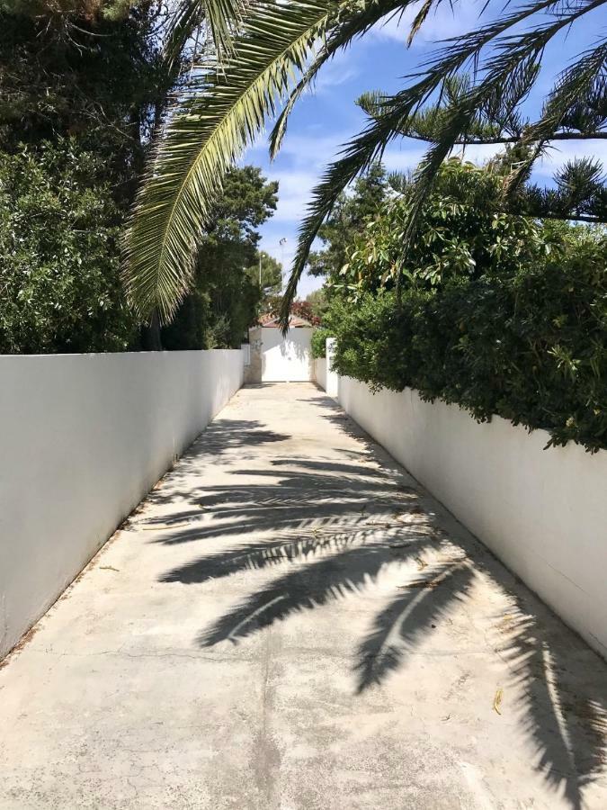 Chalet La Rosa Cala Blanca (Menorca) Exterior foto